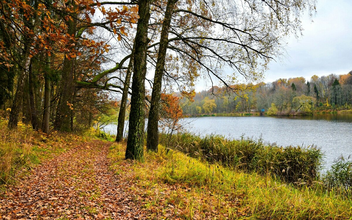 Смоленская осень. - Милешкин Владимир Алексеевич 