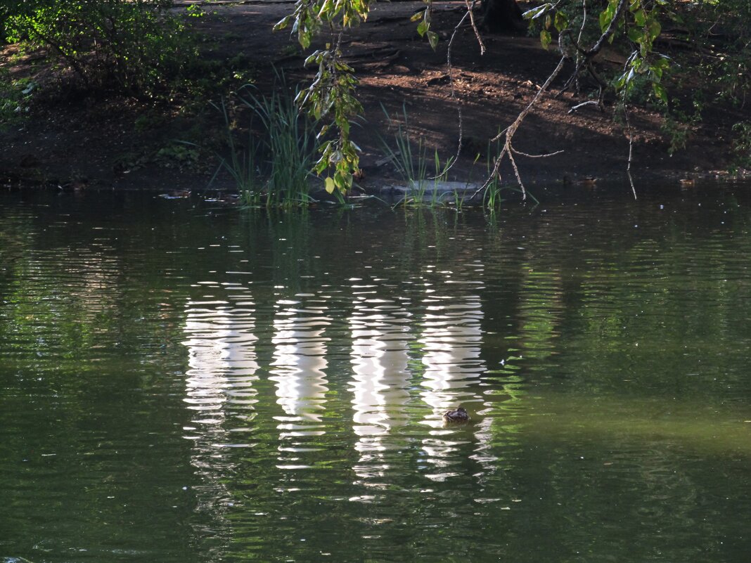 В Харитоновском парке - Елена Шаламова