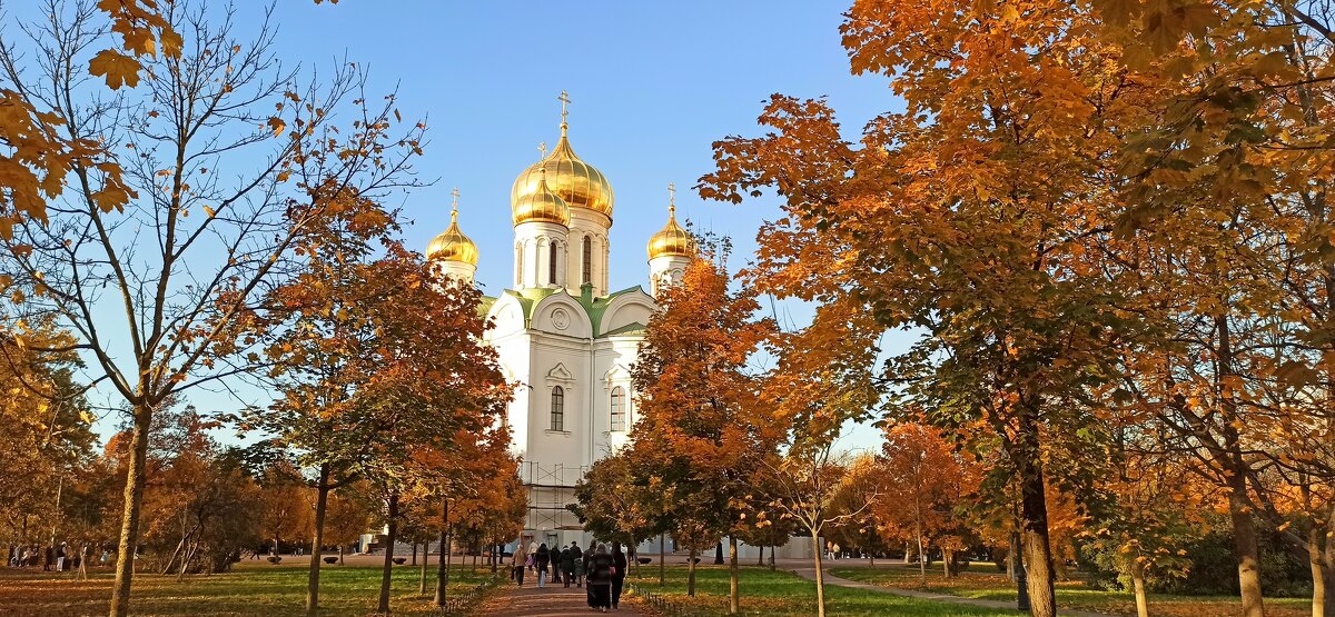 В осеннем убранстве - Валентина 