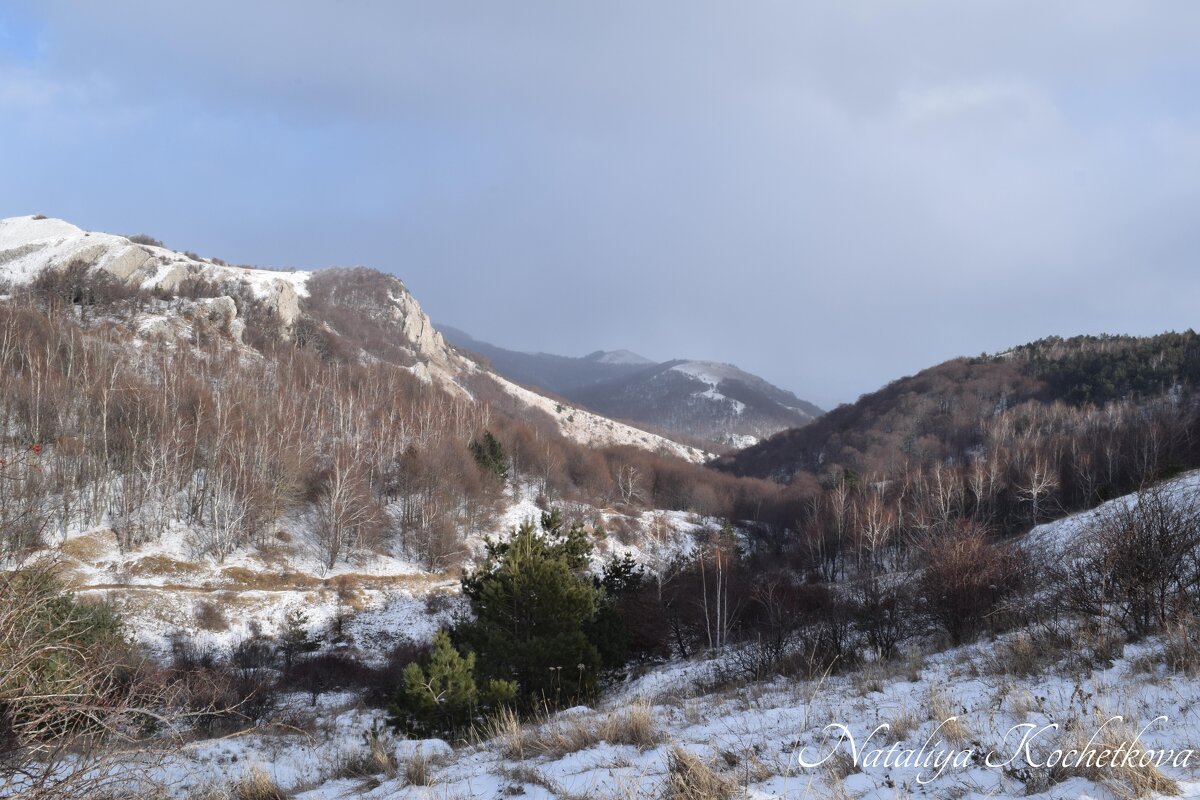Природа Крыма - Amazing Cosmea