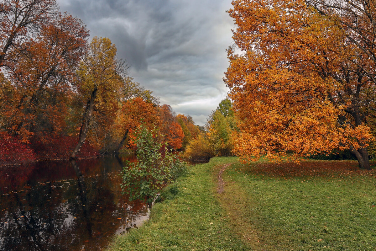 Елагин остров - skijumper Иванов