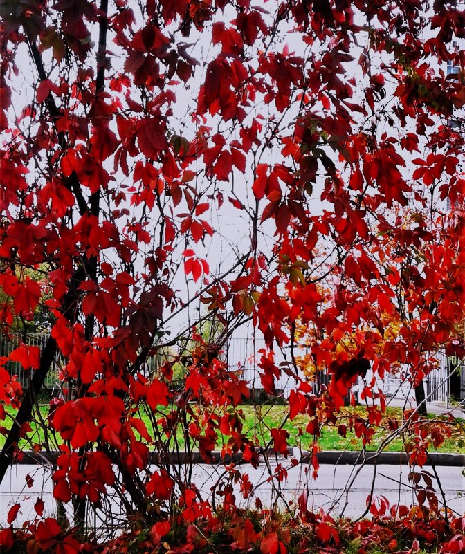 Занавес! - Василий Палий