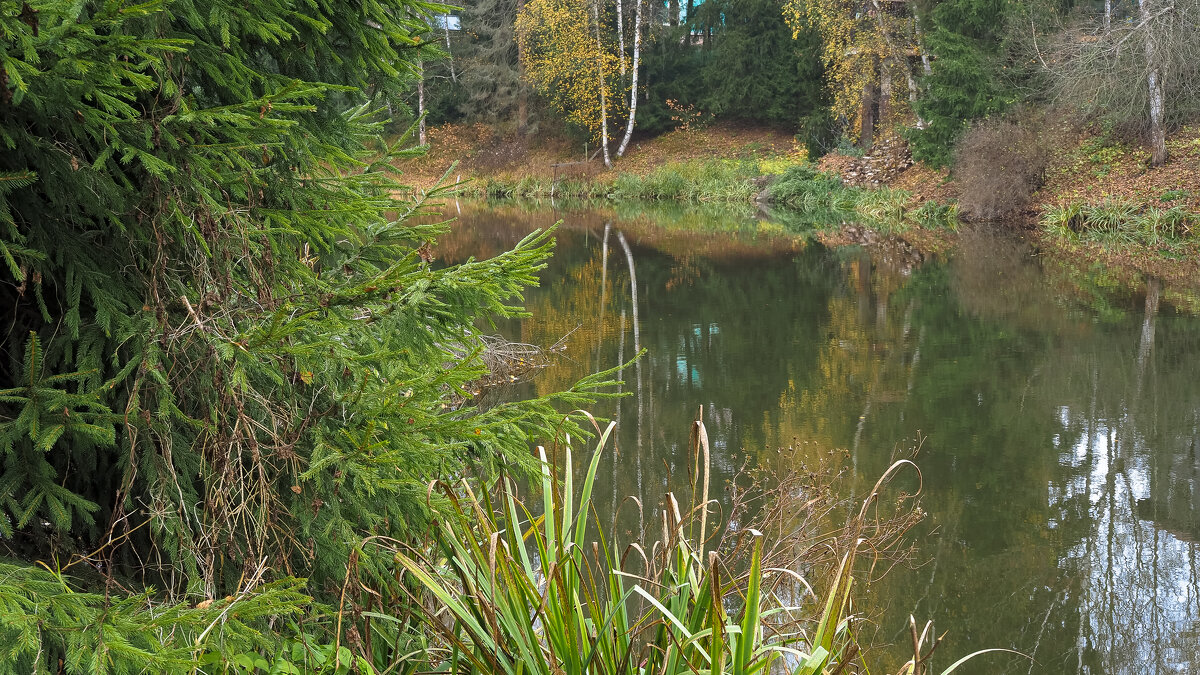 ***** - юрий поляков