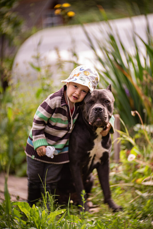 Верные друзья - Алексей Копцев Верные друзья - Алексей Копцев