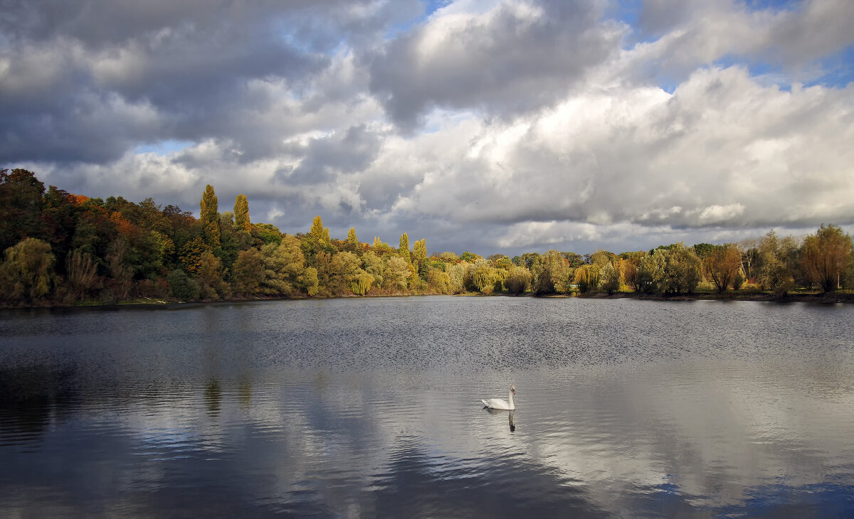 ***** - Андроник Александр 