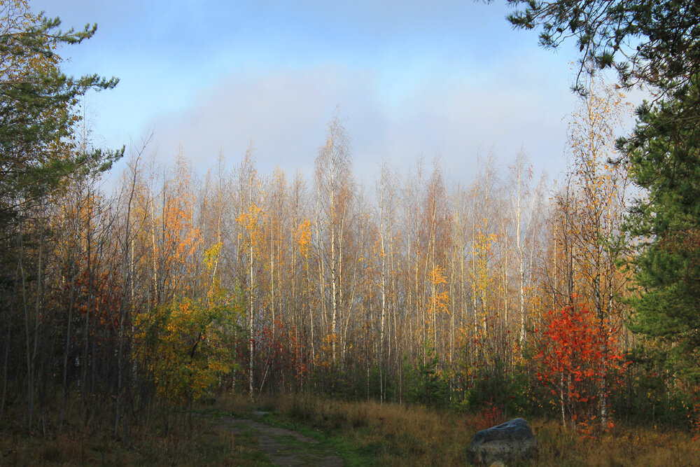 Прощание Золотой Осени - Vadm Slutsky