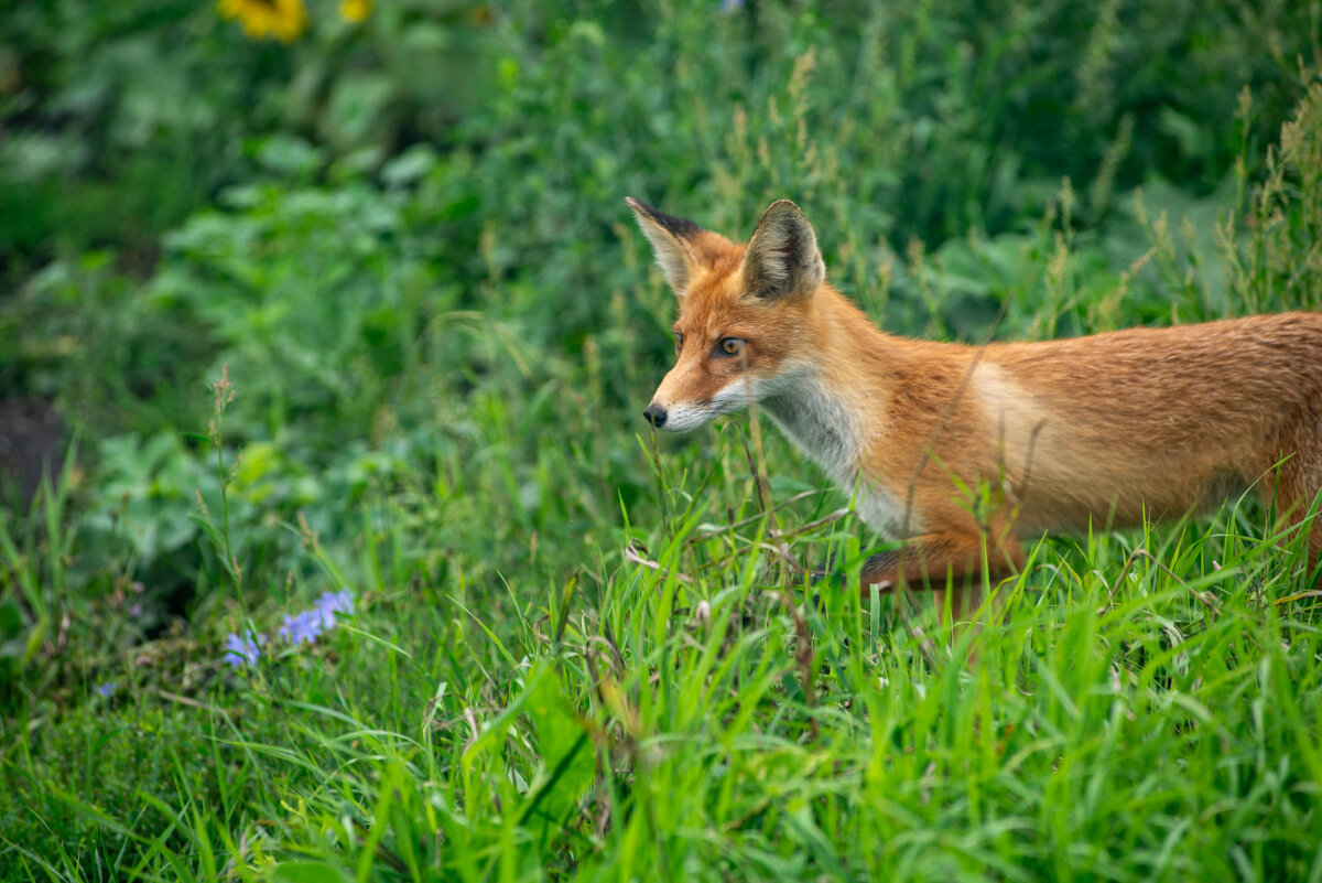 Встреча - Владимир Иванович