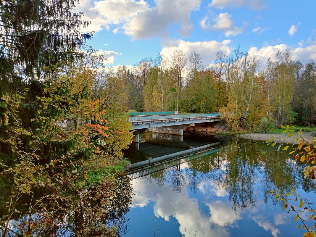 Мост через реку Оредеж. - Лия ☼