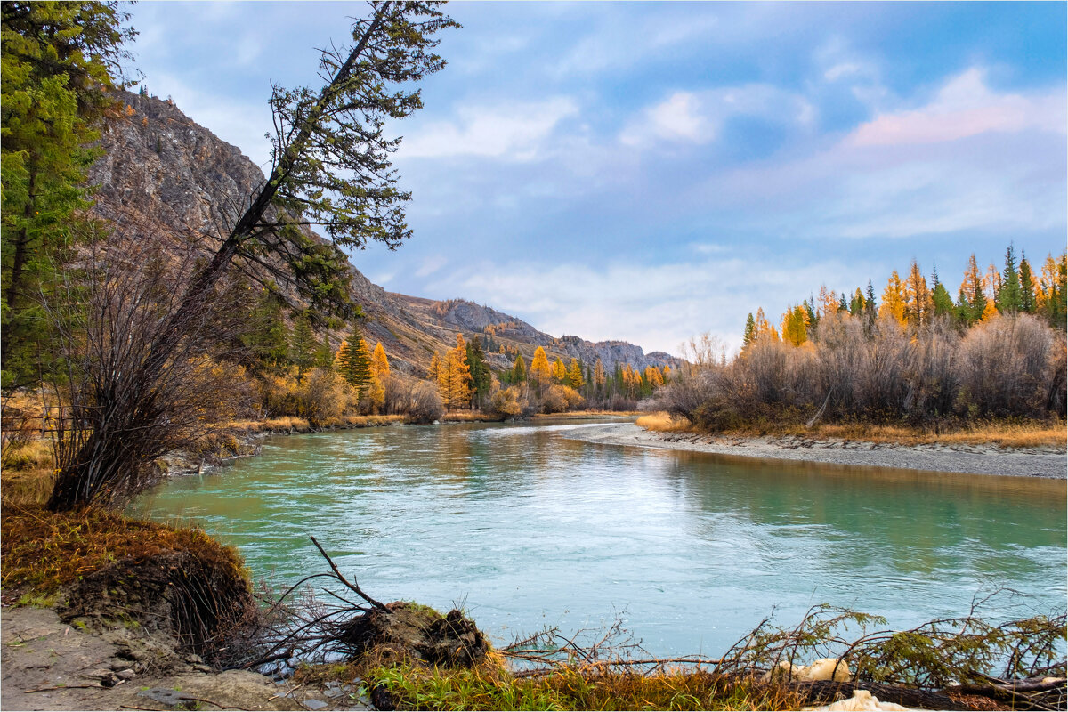 Осенняя Чуя.. - Алексей Мезенцев