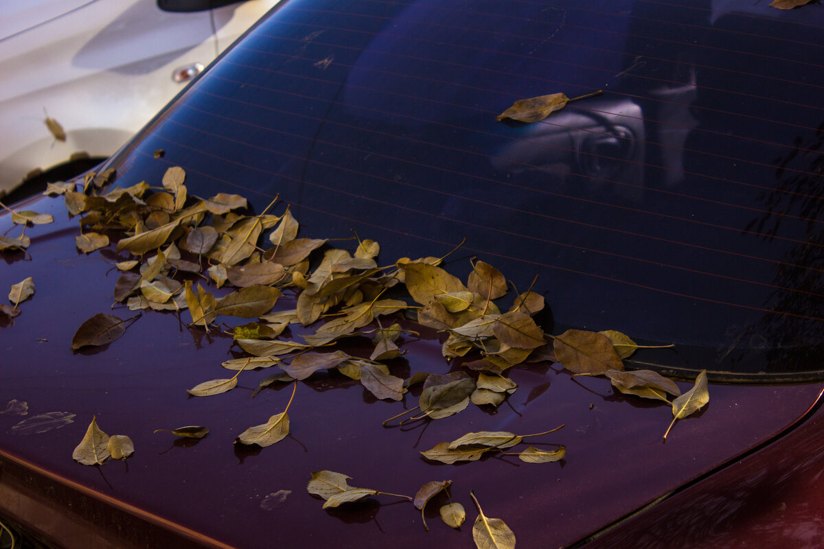 Она всегда своё возьмёт - Дмитрий Костоусов