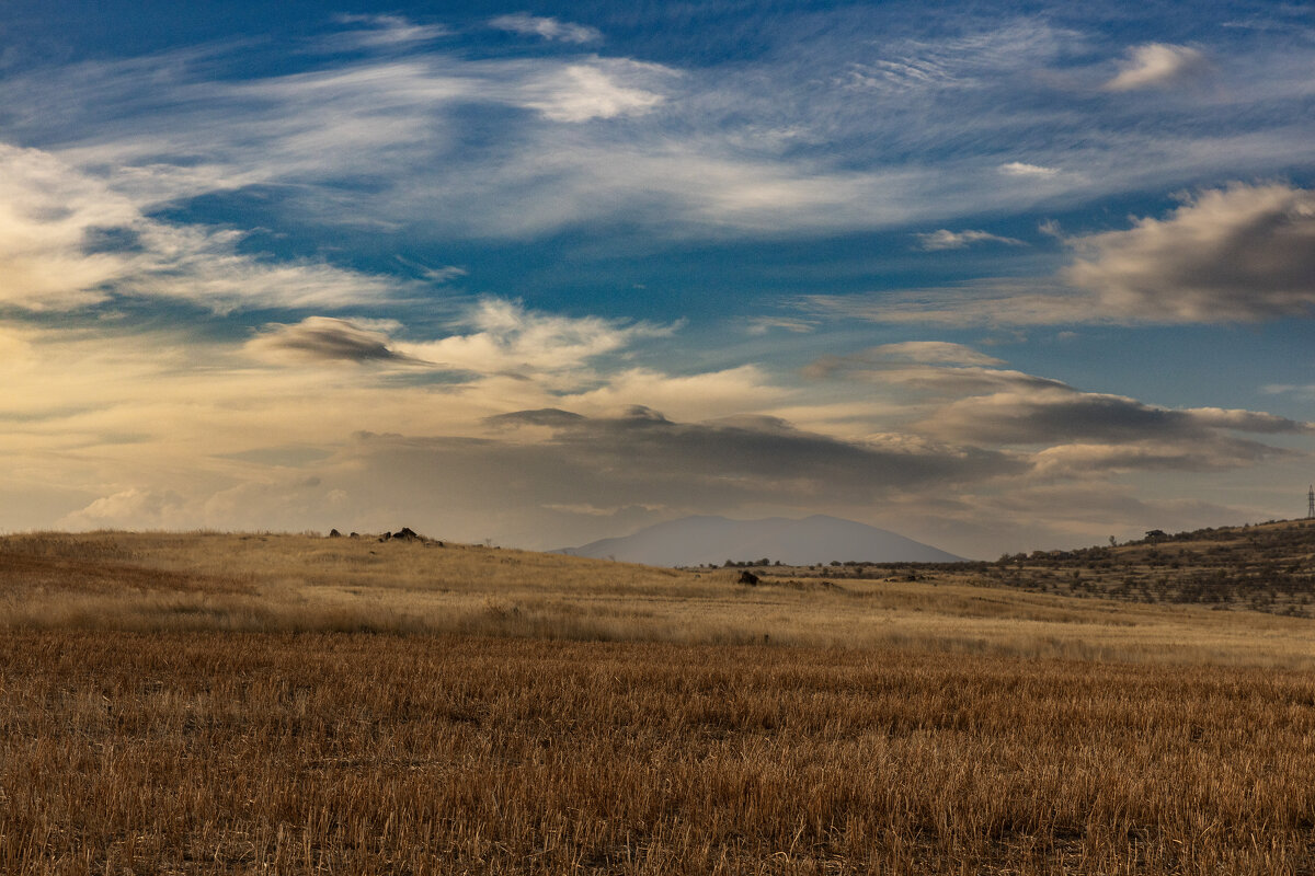 1 - Movses Shahinyan