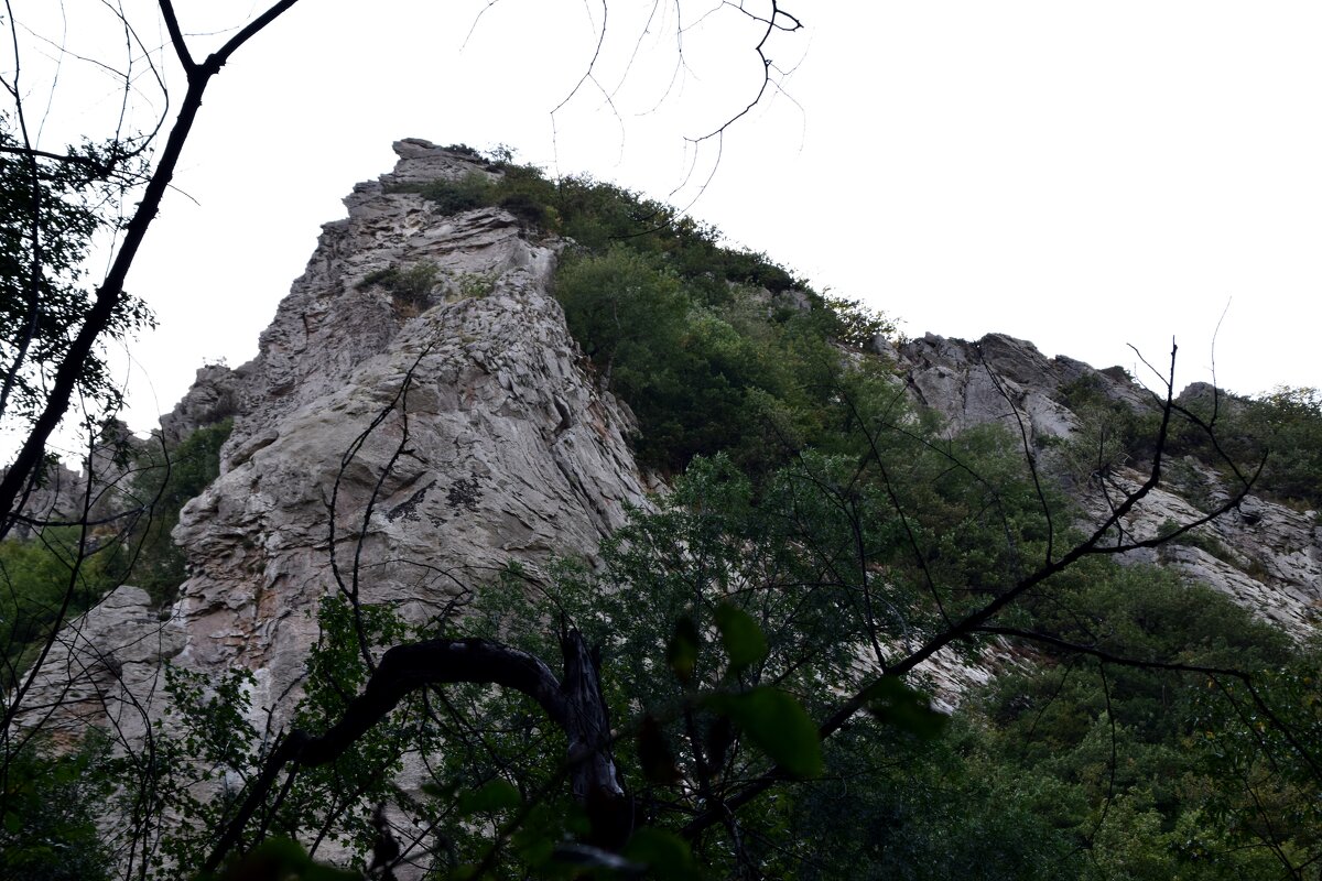 Железноводск. Скалы Развалки - Павленко Михаил 