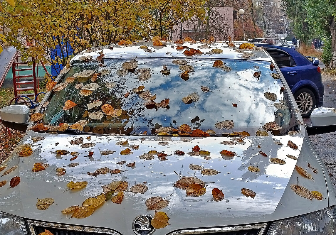 Осень хозяйничает! - Валентина  Нефёдова 