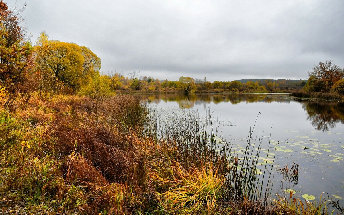 Озёрный берег. - Милешкин Владимир Алексеевич Озёрный берег. - Милешкин Владимир Алексеевич