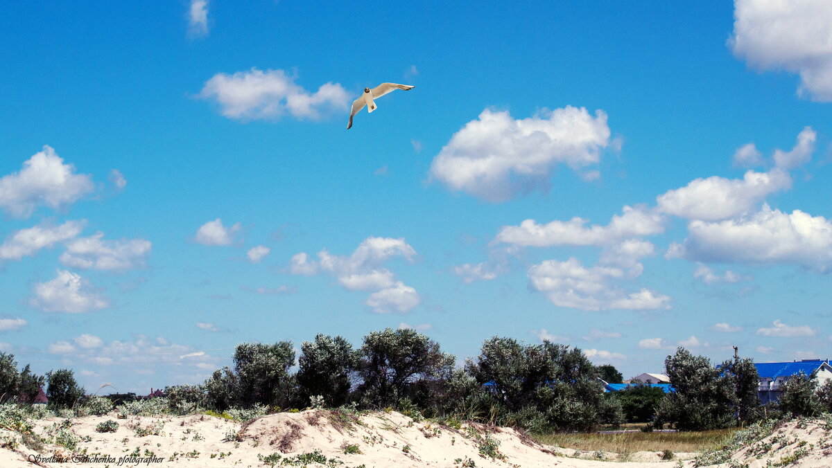 Небо в Оленёвке - Светлана Ищенко