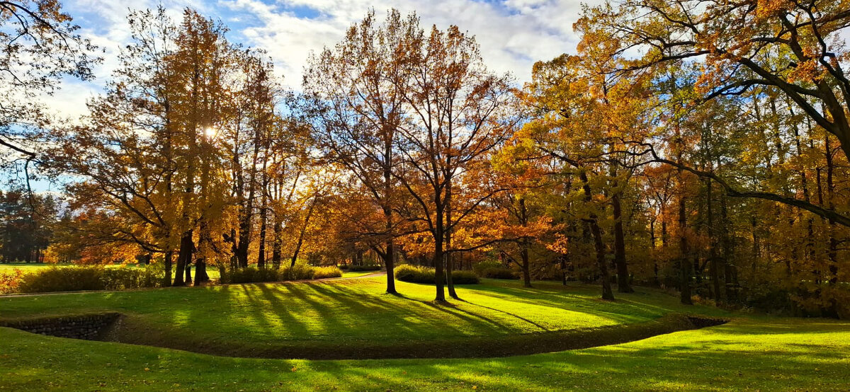 Осень улыбается - Хватова Марина 