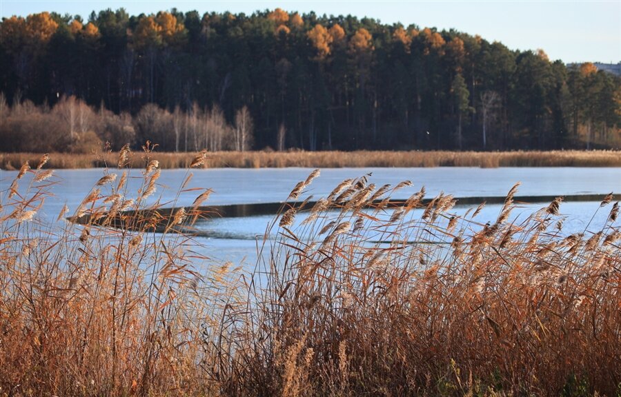 Замерзает озеро... - Владилен Панченко