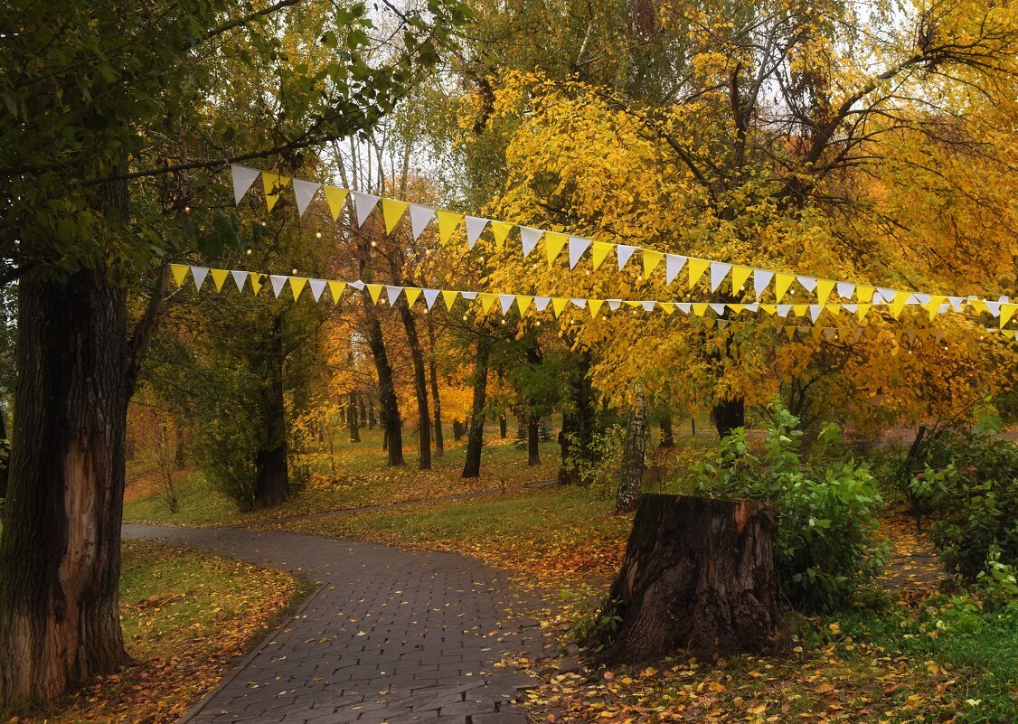 Октябрь готов передать эстафету Ноябрю. - Татьяна Помогалова