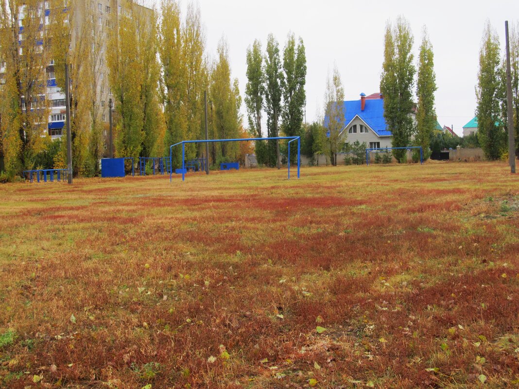 последняя декада октября - Елена Шаламова