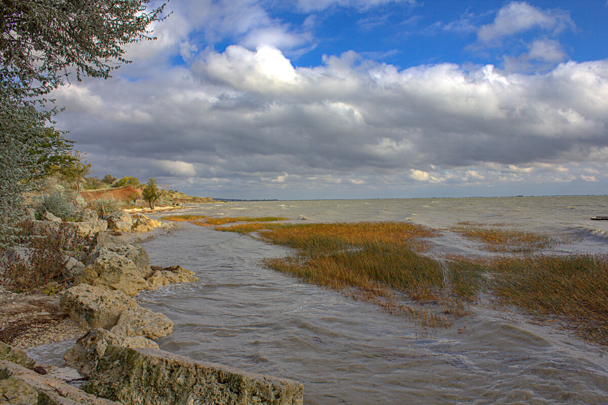 Мержвеово - Оксана Новик 