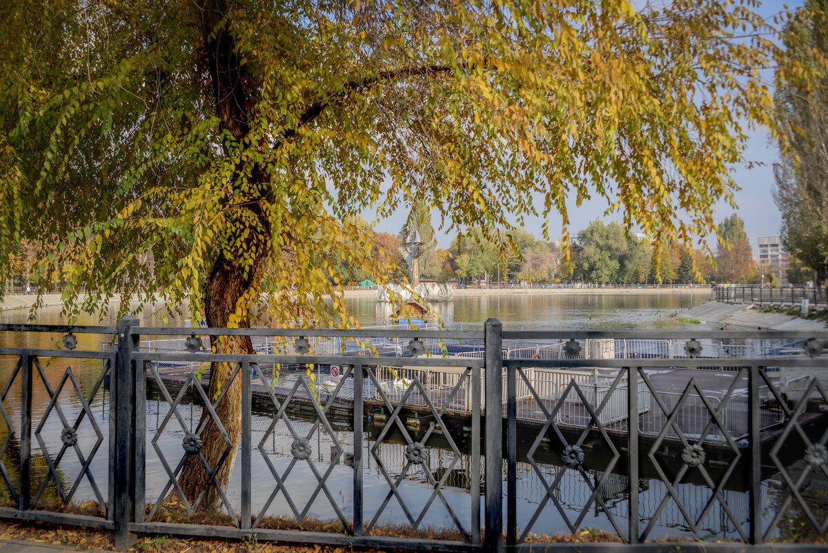 Самарская осень.. - Евгений 