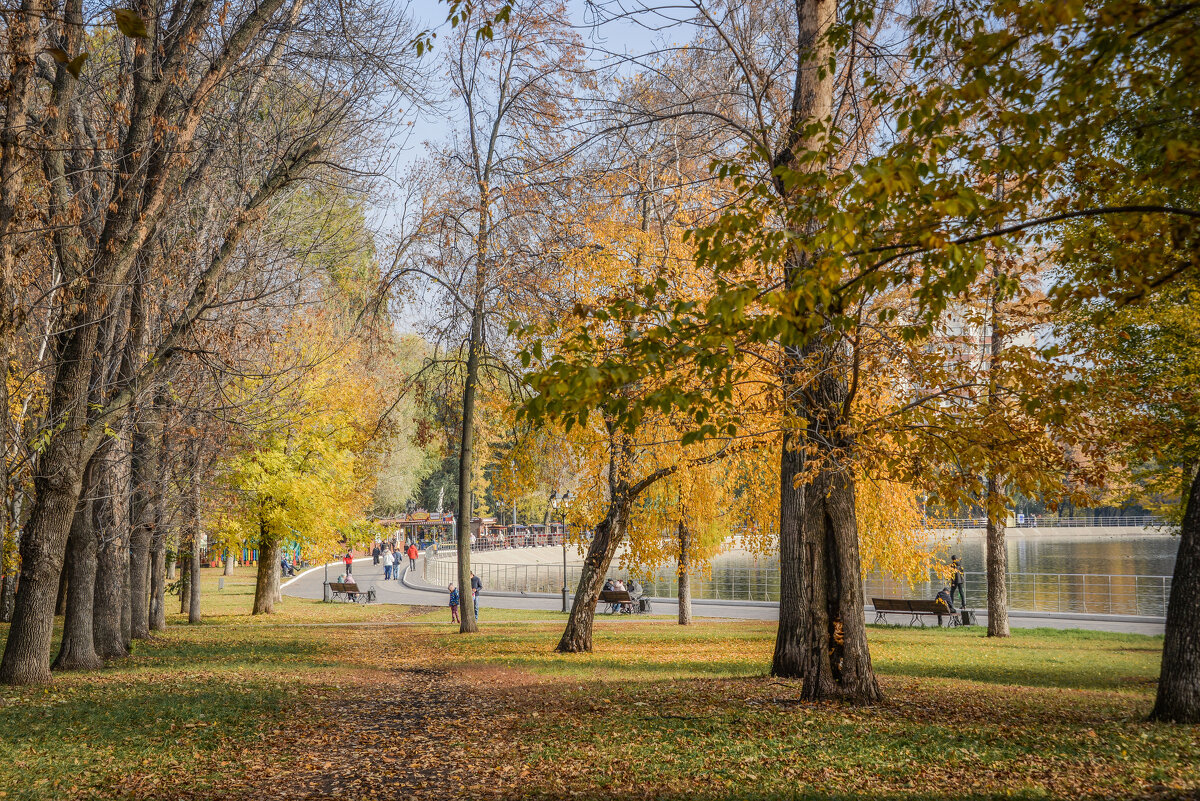 Самарская осень.. - Евгений 