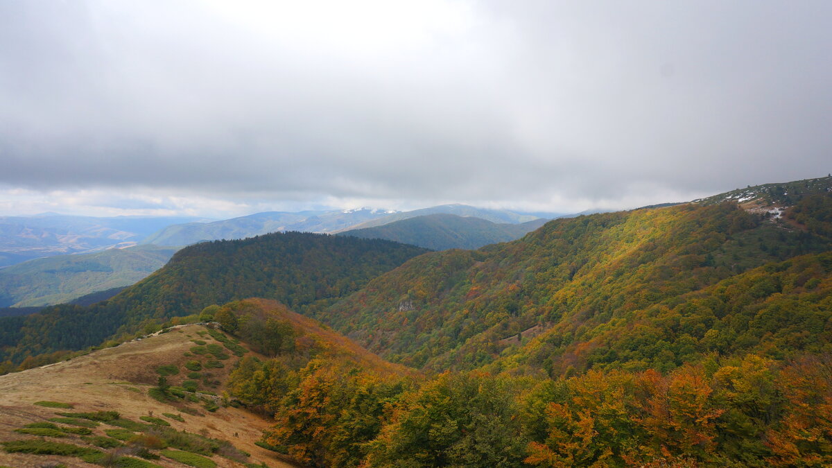 Беклемето ! - Вен Гъновски