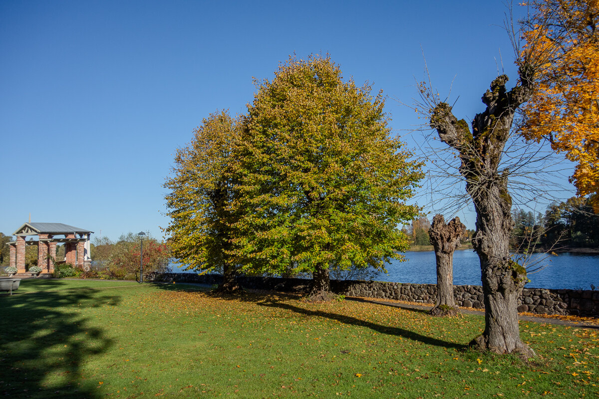 *** - Геннадий Порохов