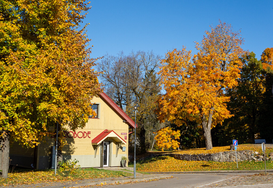 *** - Геннадий Порохов