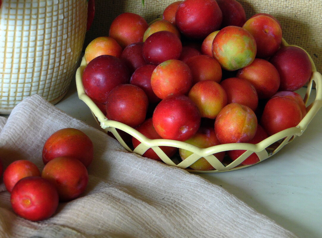 Дачный урожай. - nadyasilyuk Вознюк