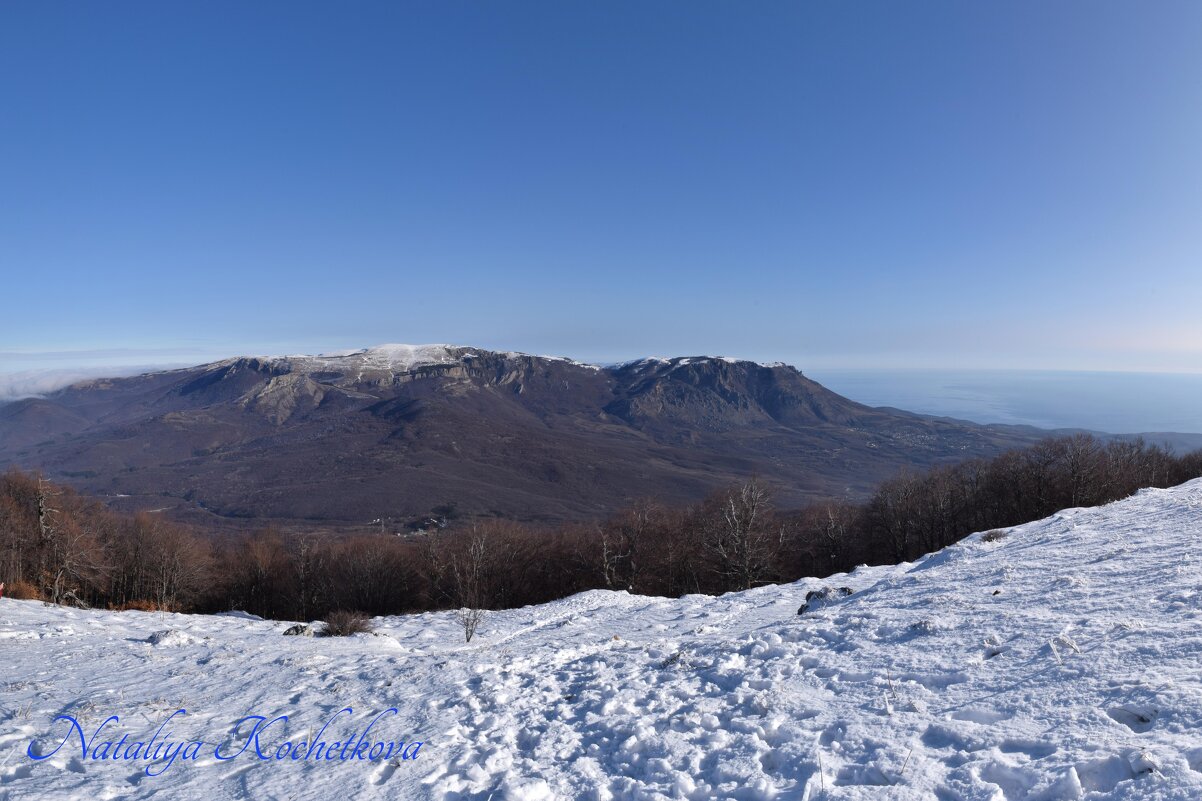 Природа Крыма - Amazing Cosmea