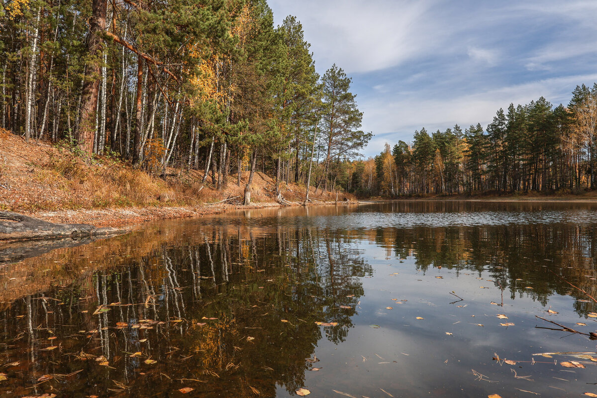 Осень - Владимир Новиков