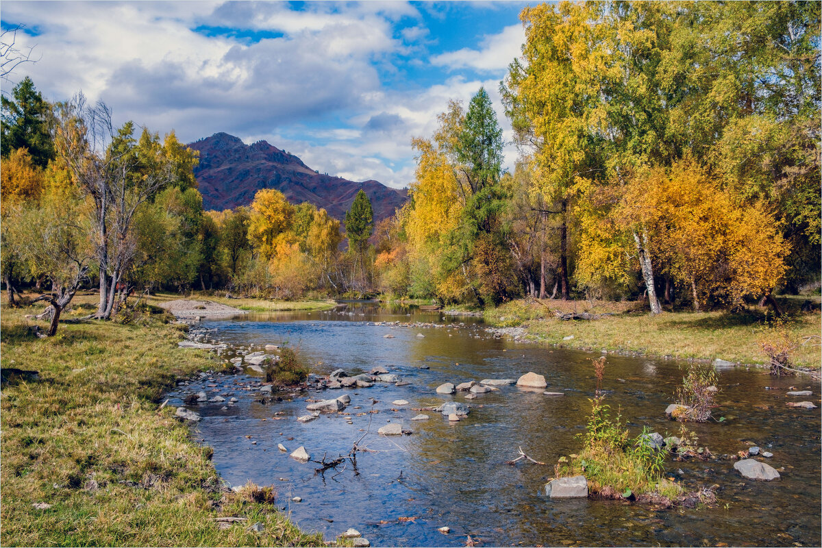 **** - Алексей Мезенцев