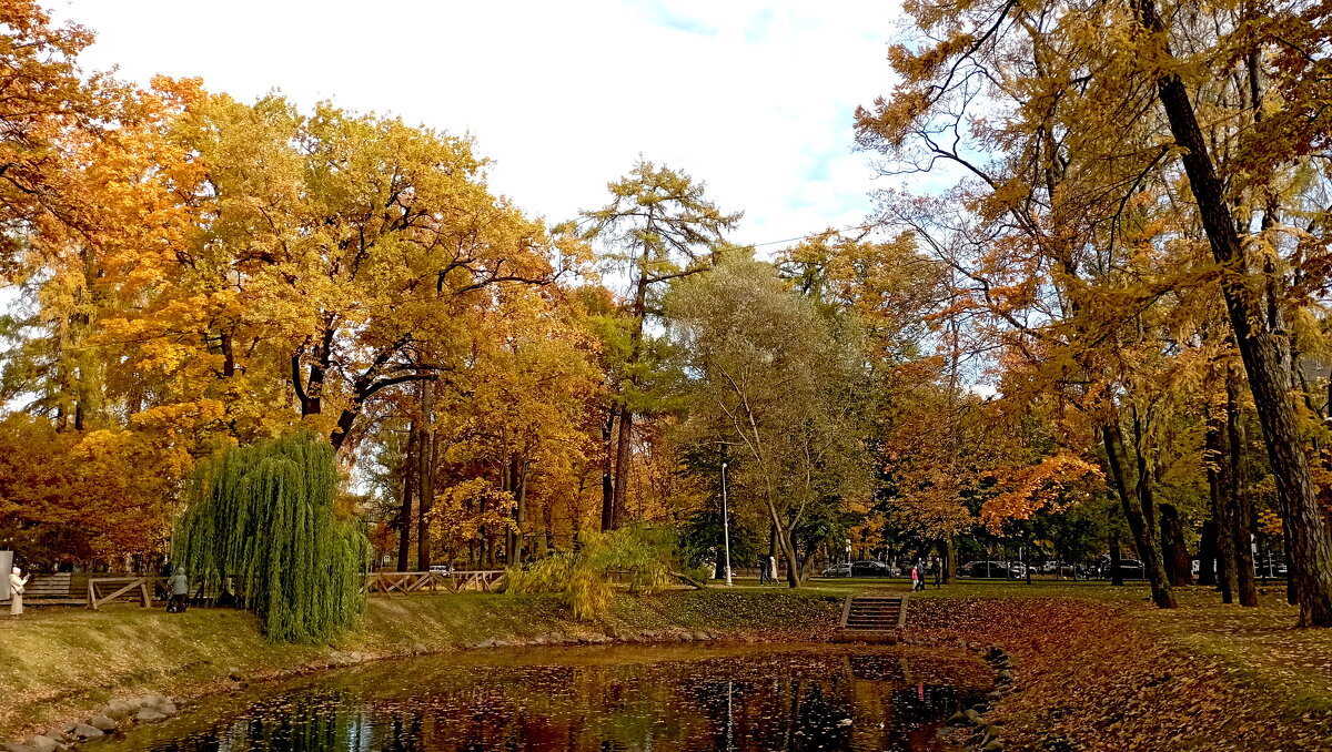 Осень - Николай 