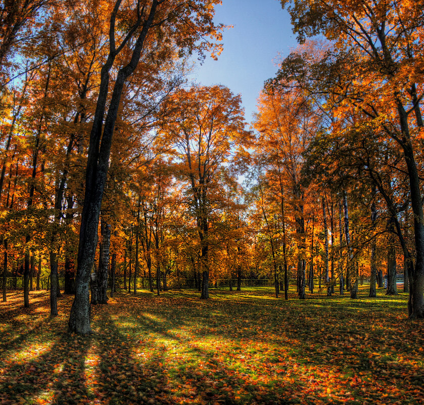 *** - Сергей Григорьев