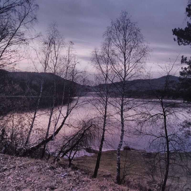 Глубокая осень. река. сумерки - Алексей Ильичёв Глубокая осень. река. сумерки - Алексей Ильичёв