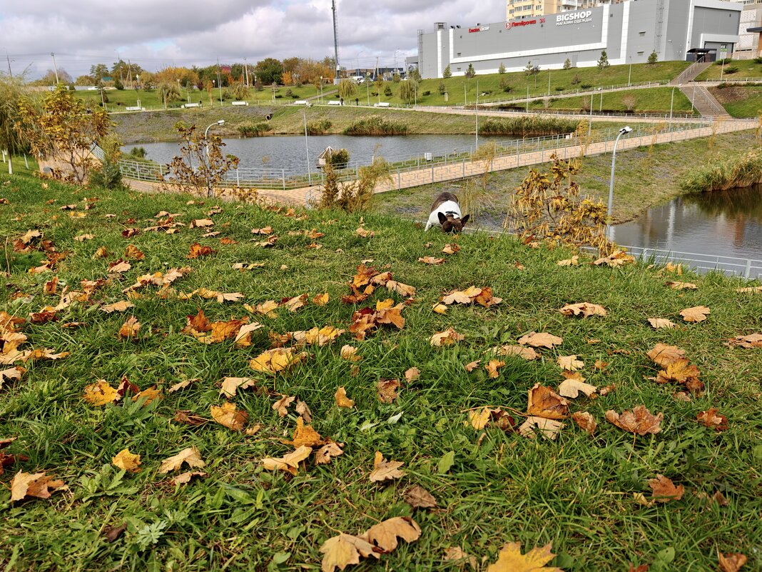 Ростовские зарисовки - Александр Гапоненко