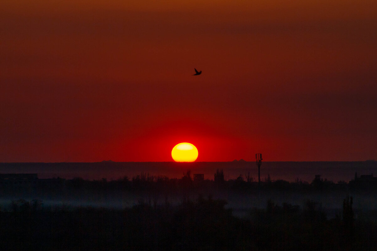 Закат в июле - Руслан Веселов