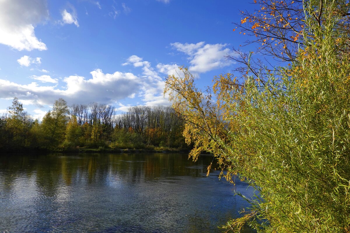 За окном меняет краски время - Не обмануть и не остановить.. - Галина 