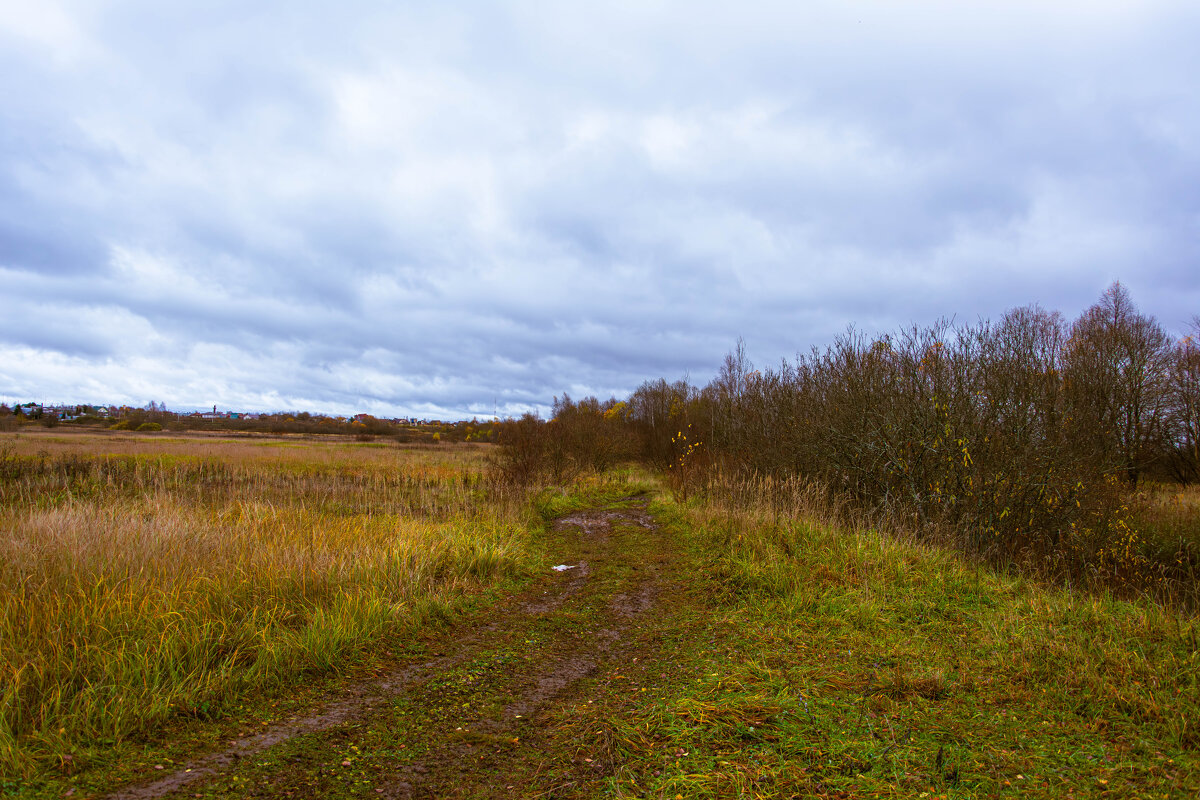 Дорога - Сергей Зонов