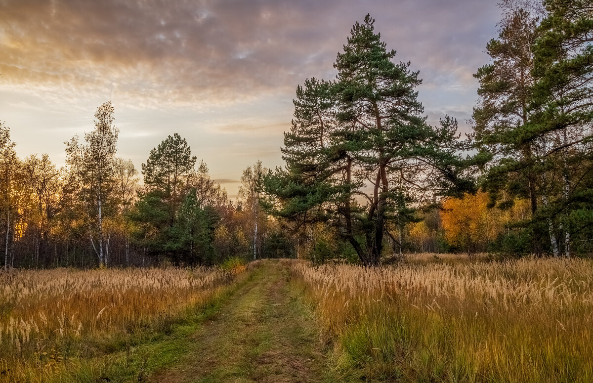Осенний вечер 10 - Андрей Дворников