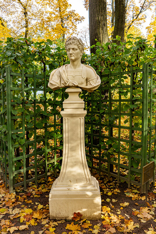 В осеннем Летнем саду - Ирина Соловьёва В осеннем Летнем саду - Ирина Соловьёва