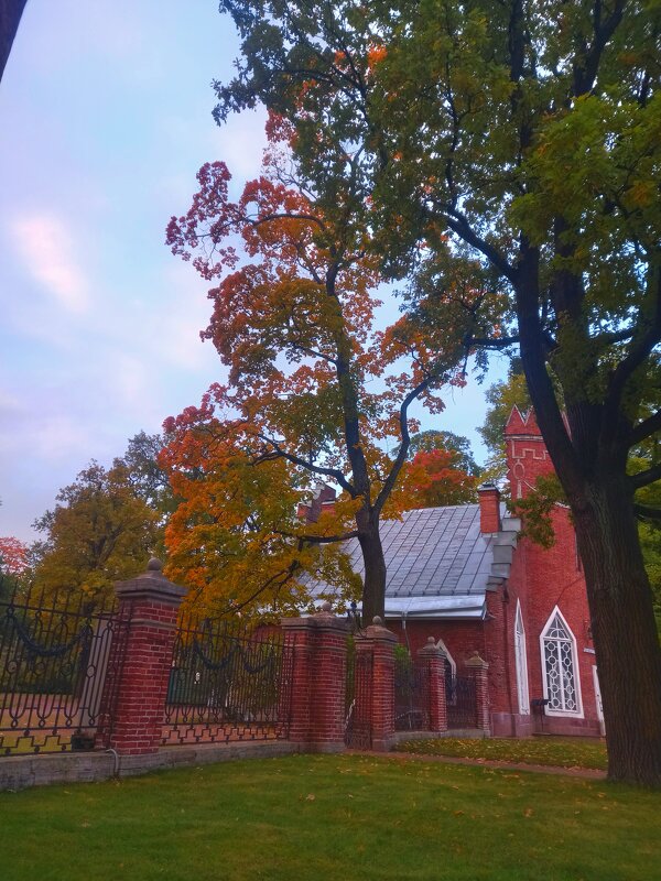 Рассвет - Сапсан 