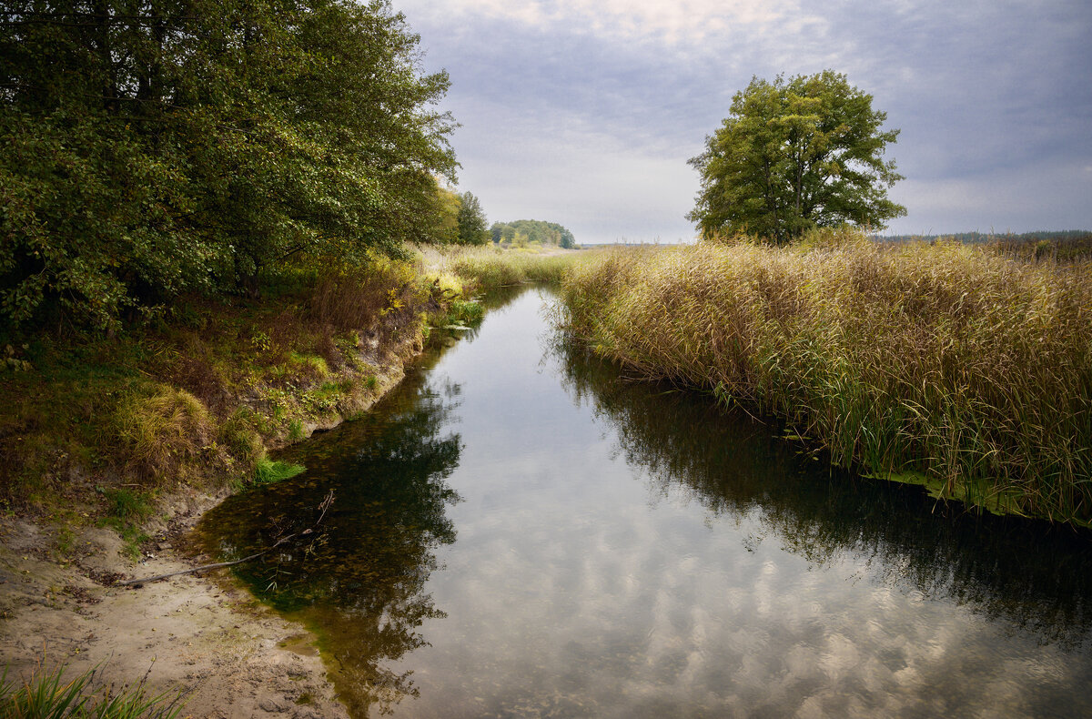 Арт-Осень - Валерий VRN Арт-Осень - Валерий VRN