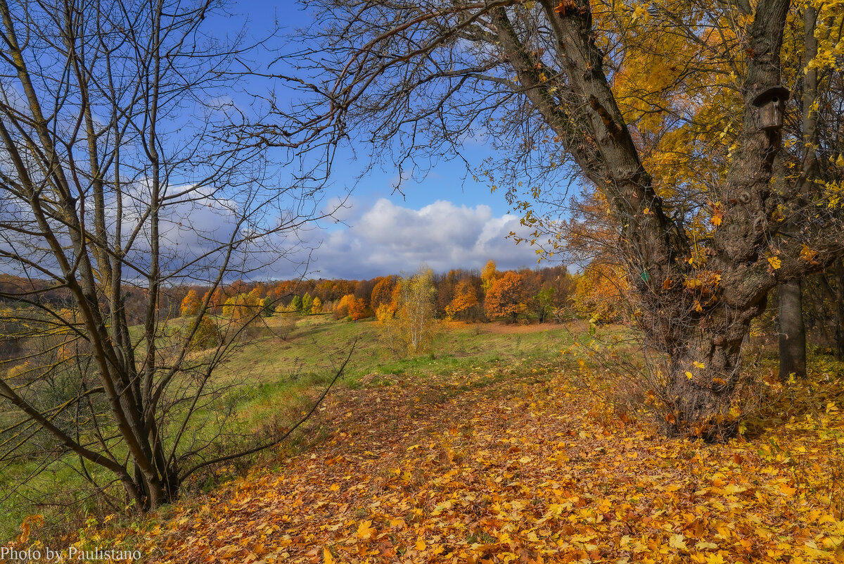 Октябрь в Царицыно... - Владимир Жданов