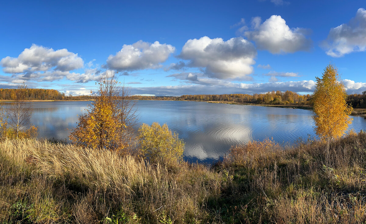 Последние дни золотой осени - Galina 