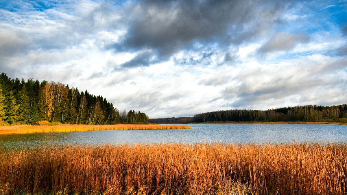 Осенний пейзаж с озером. - Милешкин Владимир Алексеевич Осенний пейзаж с озером. - Милешкин Владимир Алексеевич