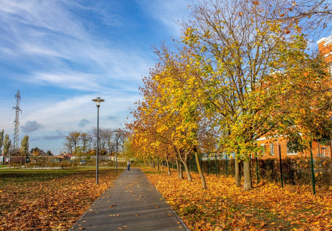 Краски осени - Оксана Новик 
