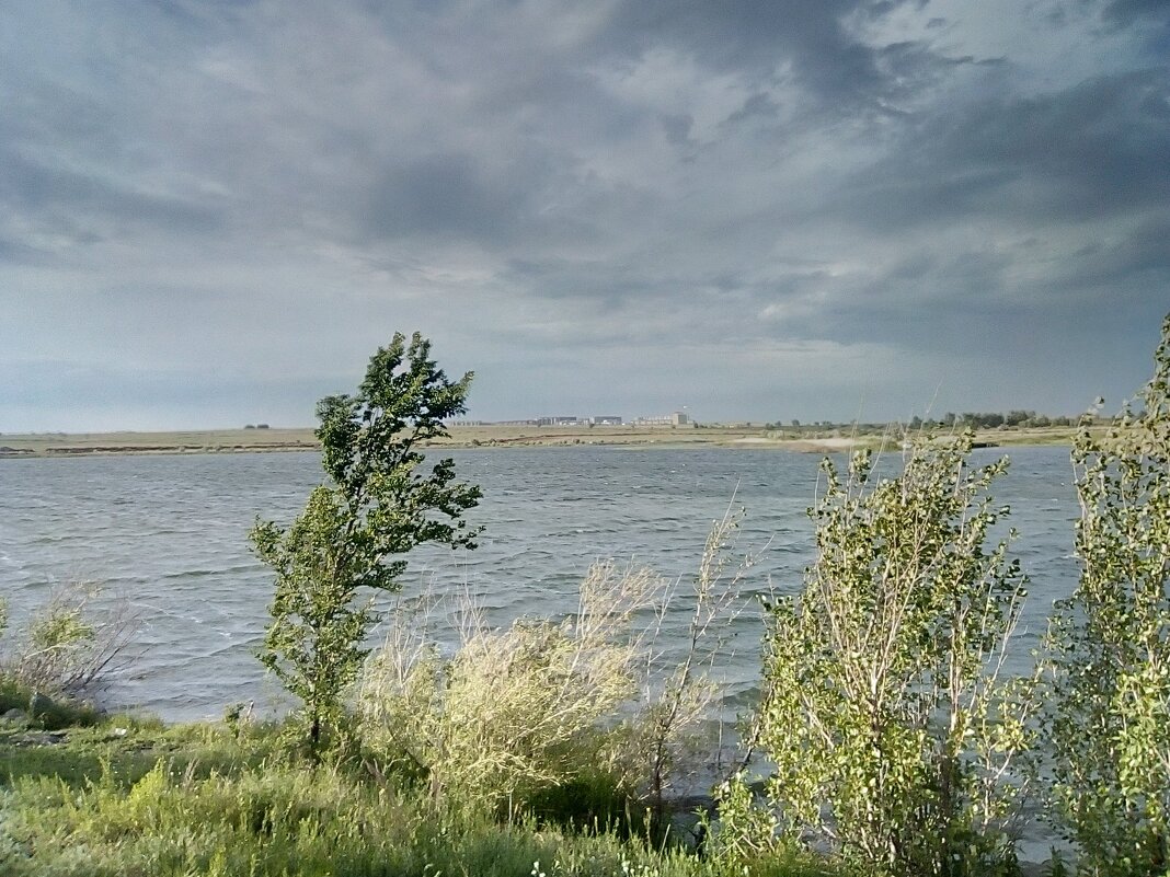 Перед дождём - Георгиевич 