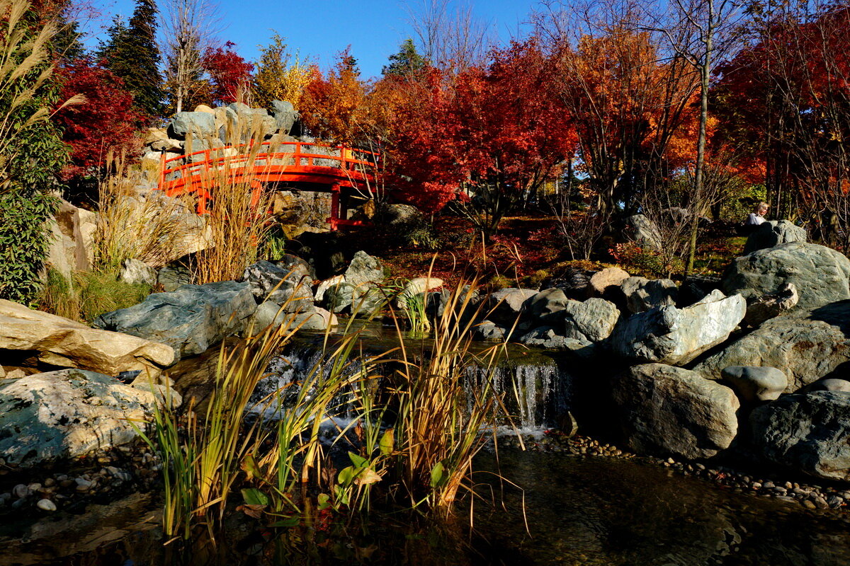 " Японский сад " Краснодар... - Николай Саржанов